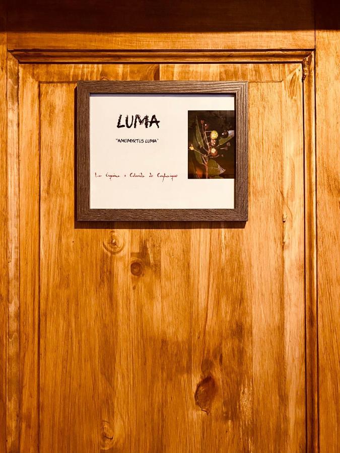 Hostal Esquina Patagonica コイハイケ エクステリア 写真